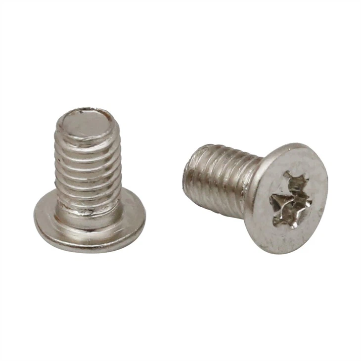 Small flat head micro plum screw