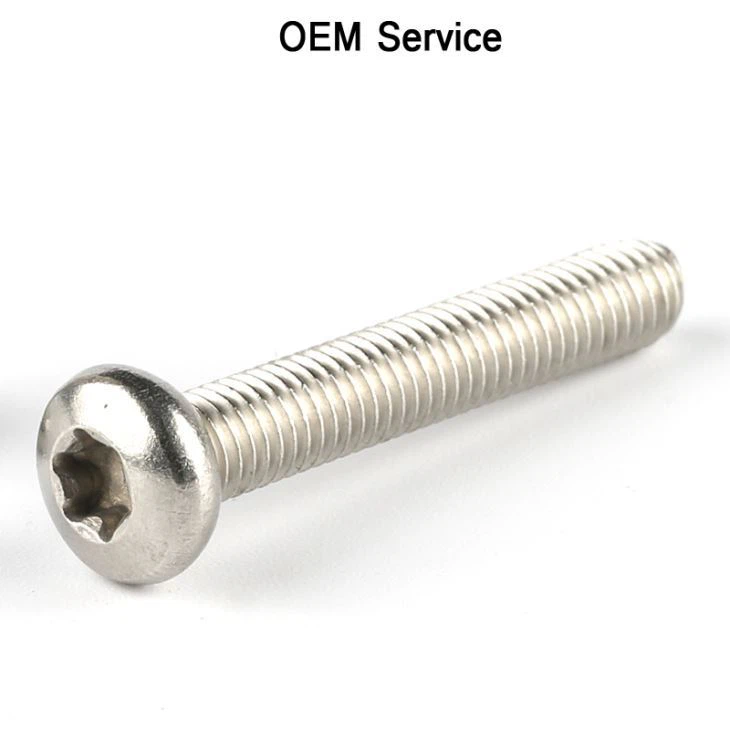Long Threaded Pan Torx Screw
