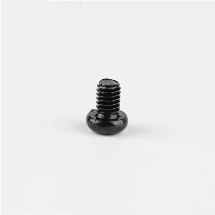 Hot Sale Carbon Steel Black Small Screws