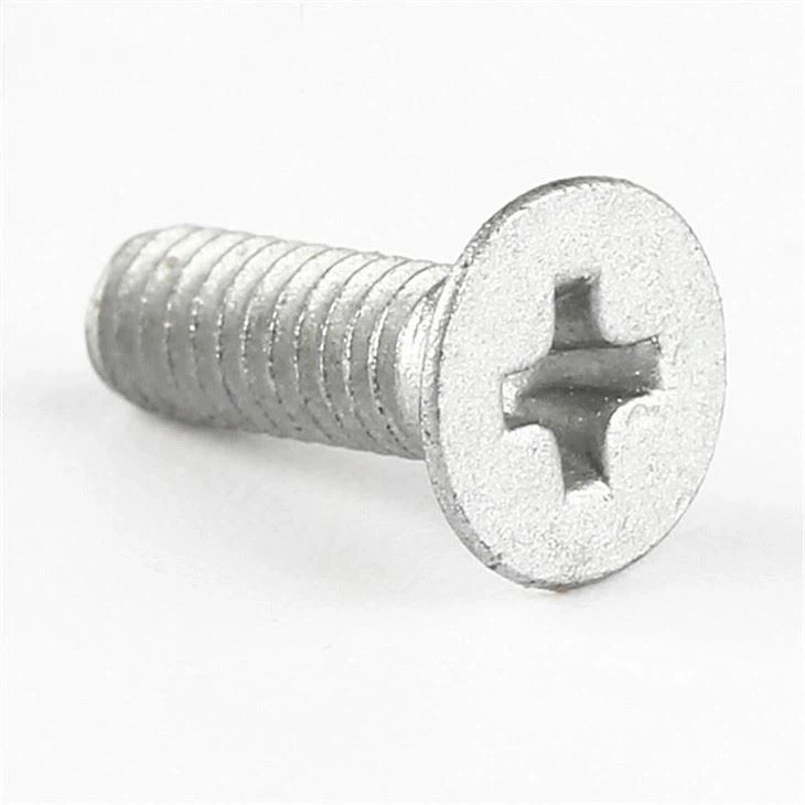 Flat Head Phillips Silver Screw