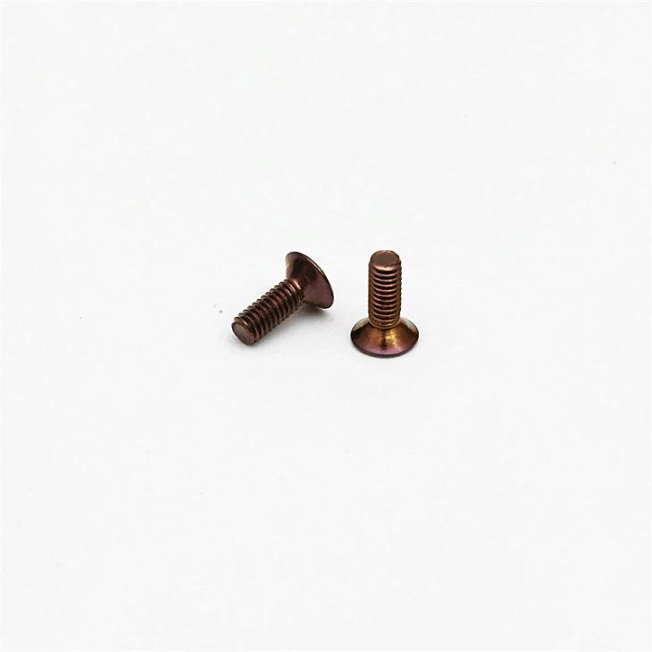 小さなフィリップスコンピューターラップトップネジ