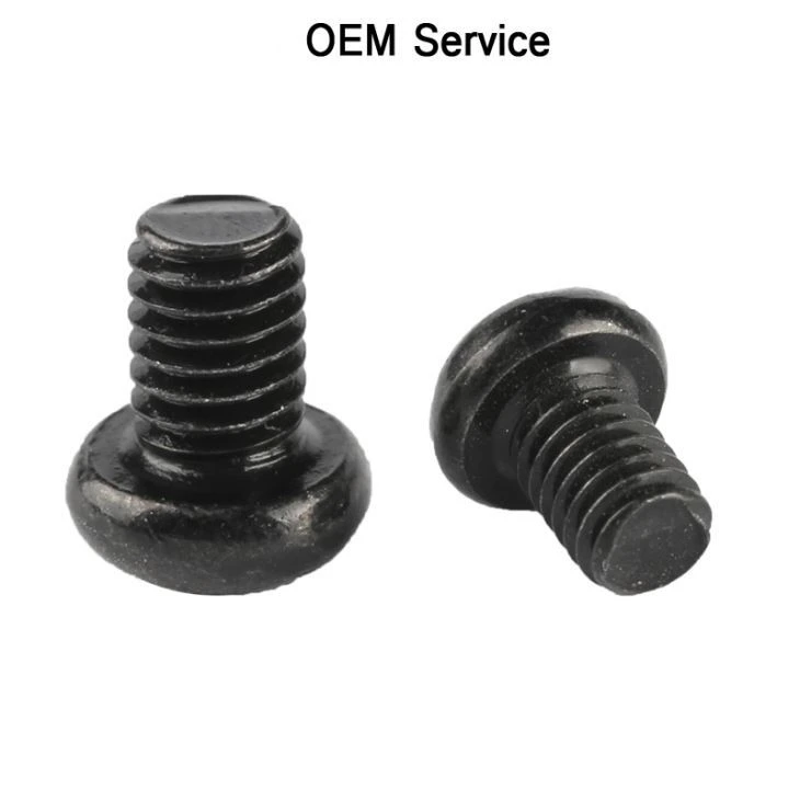 Oval Head Phillips Screw Black