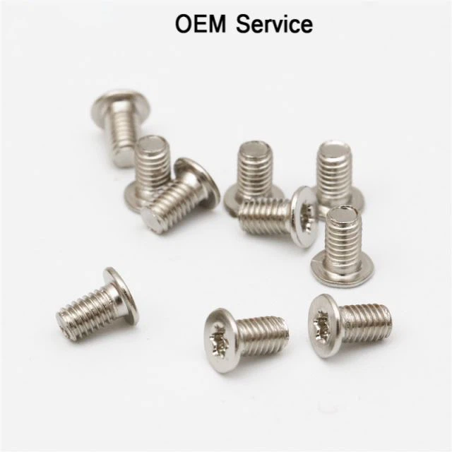 トルクスフラットヘッドステンレス鋼の小さなネジ