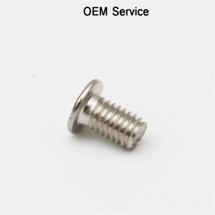 Torx Flat Head Stainless Steel Tiny Screw